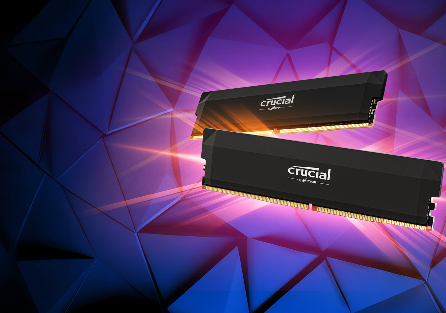 英睿达推出 Pro 系列 DDR5 超频内存和更高速的 Gen5 固态硬盘